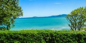 giardino-almare-codiferro-progetto