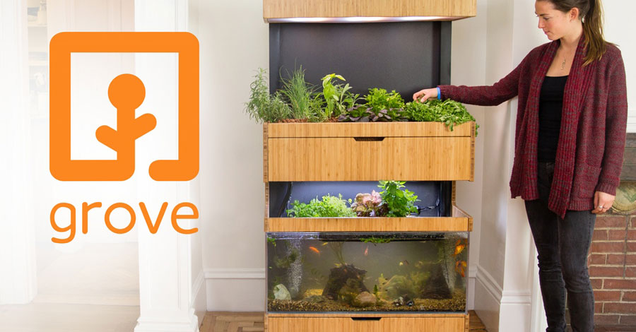 Grove orto