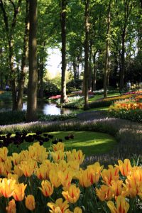 parco keukenhof
