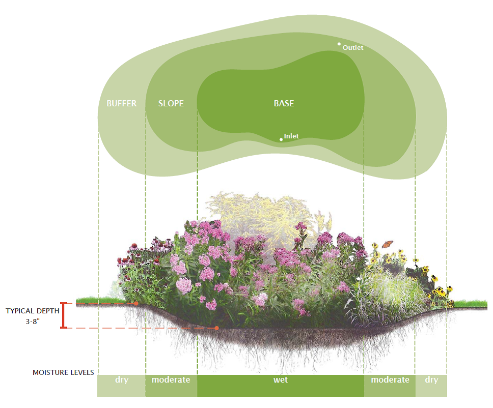 Rain-Garden-