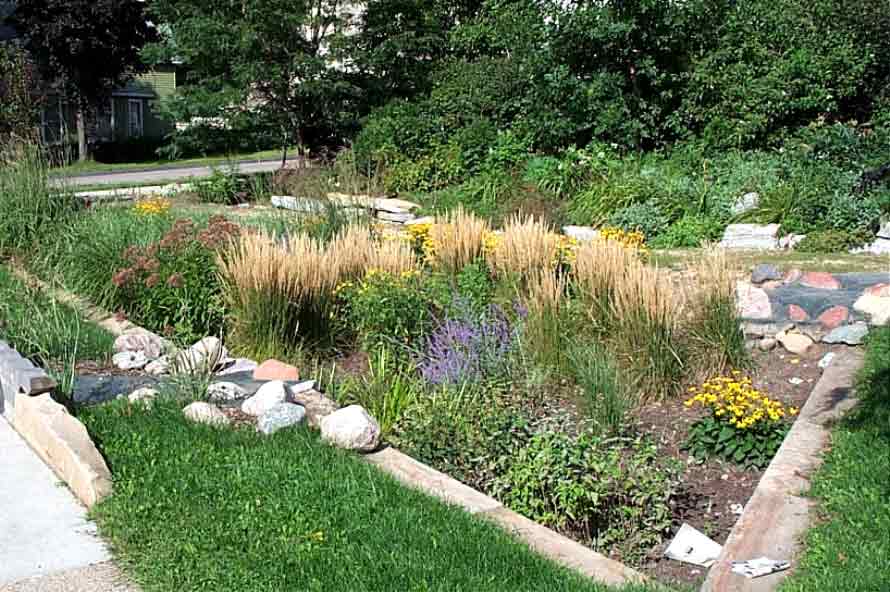 rain-gardens