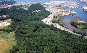 West-Duwamish-Greenbelt-Seattle