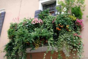 balconi fioriti 2