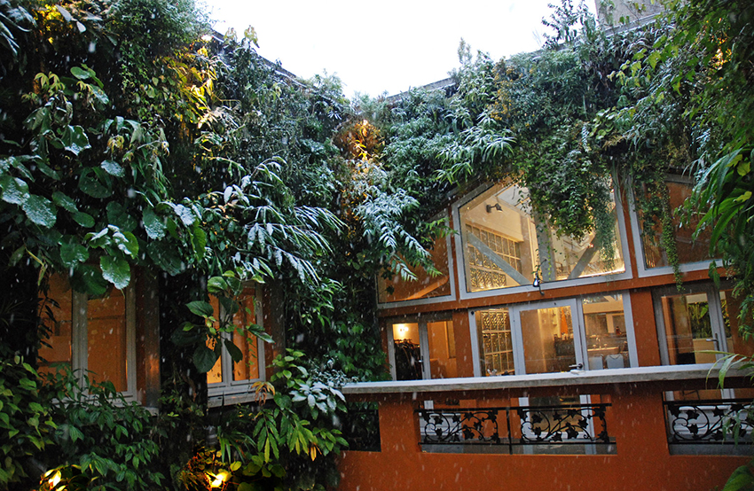 asa-con-giardino-verticale-di-patrick-blanc-
