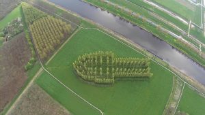 cattedrale-verde-almere