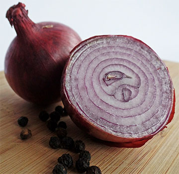 decotto di cipolla come repellente