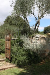 giardino mediterraneo