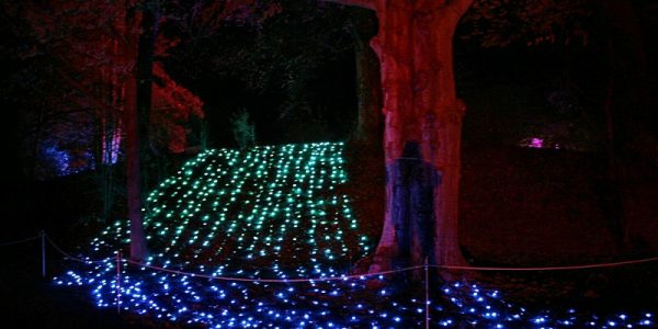 Gnomo da giardino di Natale | FC Bayern Monaco Store