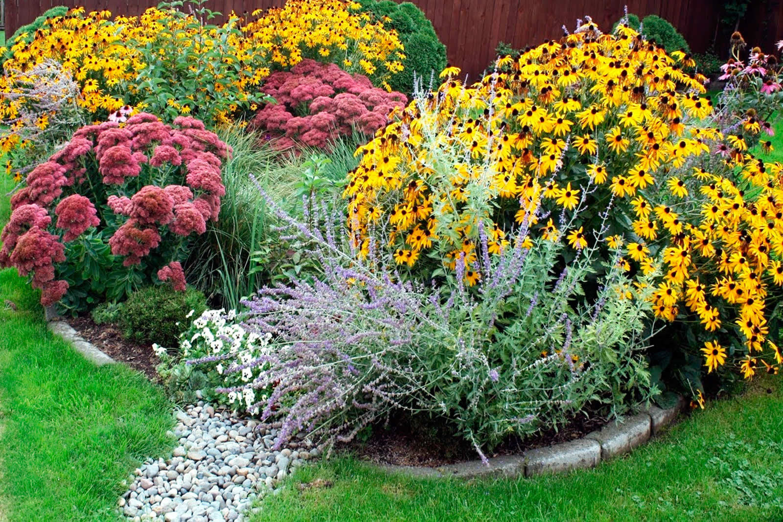 giardino-pluviale