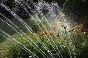 impianto irrigazione risparmio