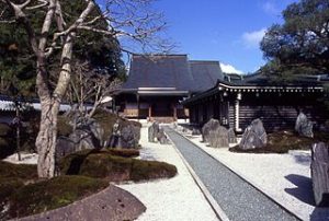mirei-shigemori-3