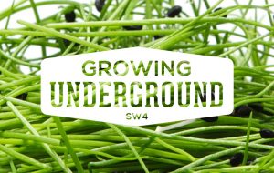 orti-urbani-sotterranei