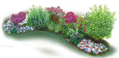 rain-garden