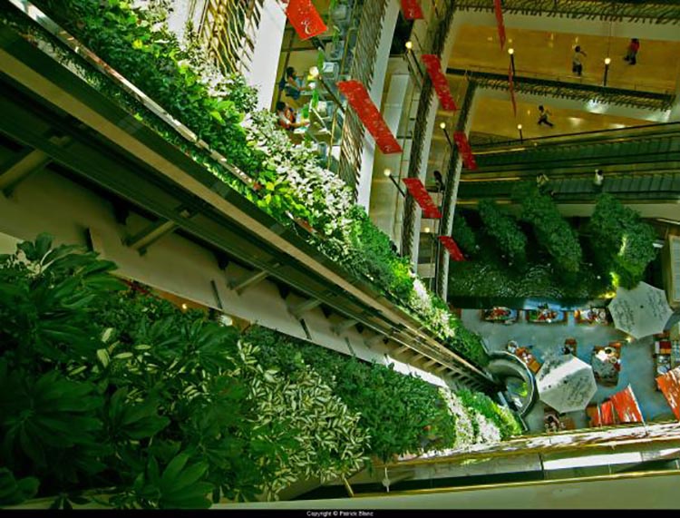 realizzazione -muri-vegetali-centro-commerciale-Tailandia-Patrick-Blanc