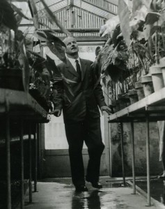 P.P. maestro giardiniere paesaggista