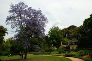 royal-botanical-gardens-melbourne
