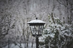 come preparare giardino inverno