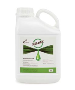Kelpak-promotore-sviluppo-alghe-codiferro