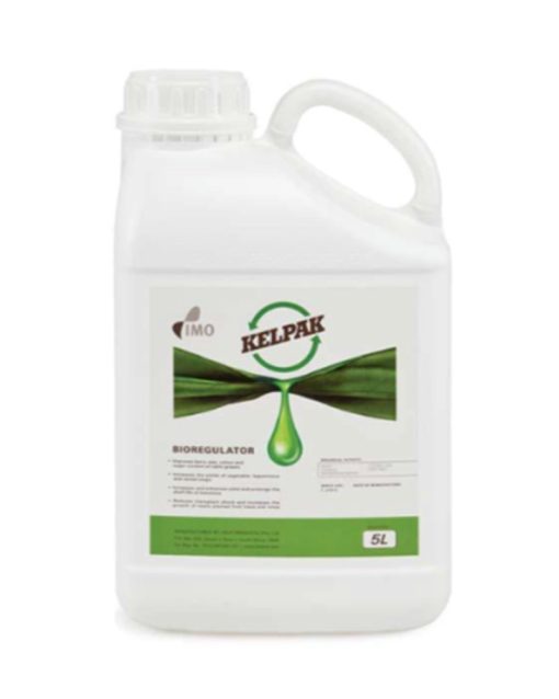 Kelpak-promotore-sviluppo-alghe-codiferro