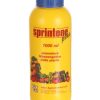 sprintene-codiferro-cura-piante