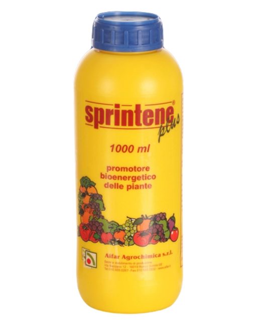 sprintene-codiferro-cura-piante