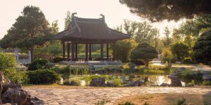 giardino cinese
