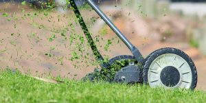 prato perfetto sostenibilità