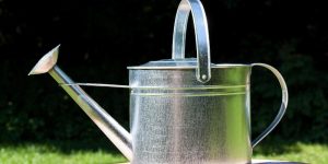 riciclare acqua giardino