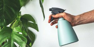 nebulizzazione piante