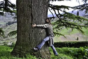 forest bathing